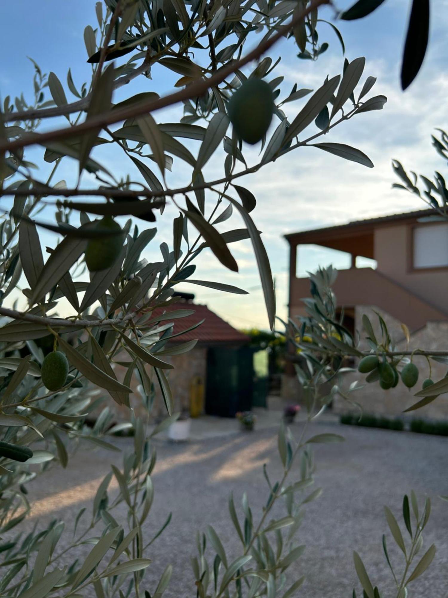 Danisacroatia Διαμέρισμα Maslenica Εξωτερικό φωτογραφία