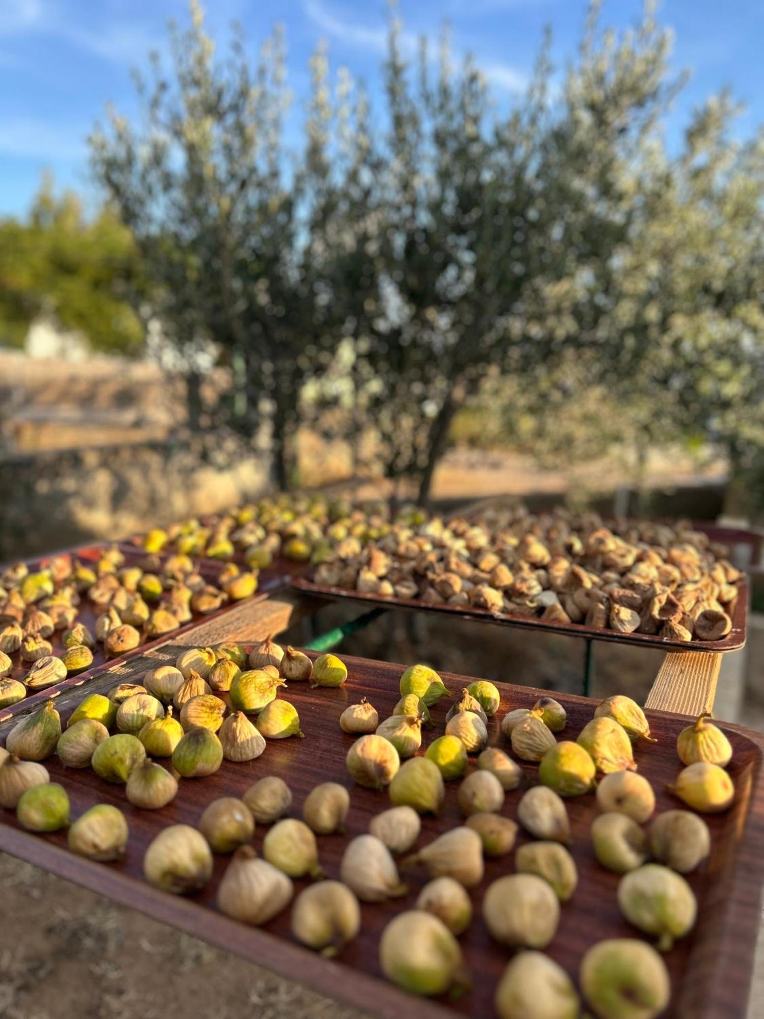 Danisacroatia Διαμέρισμα Maslenica Εξωτερικό φωτογραφία
